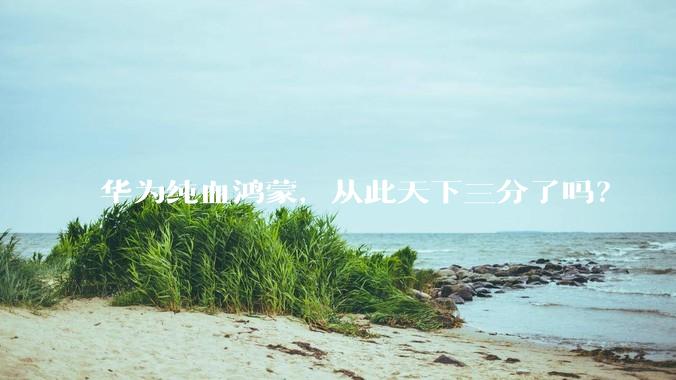 华为纯血鸿蒙，从此天下三分了吗？